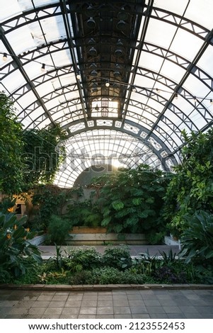 Winter garden orangery interior with evergreen tropical plants and monstera growing inside. Greenhouse with deciduous flora covered with green leaves under glass roof. Old glasshouse, botanical garden Royalty-Free Stock Photo #2123552453