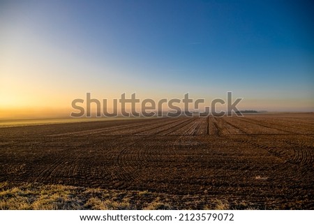 Panorama of a wheat field in the morning with fog. High quality photo