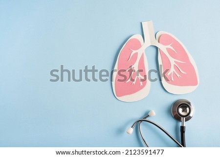 Lungs paper decorative model with medical stethoscope on light blue background. World tuberculosis TB day, pneumonia, respiratory diseases concept. Top view, flat lay, copy space Royalty-Free Stock Photo #2123591477
