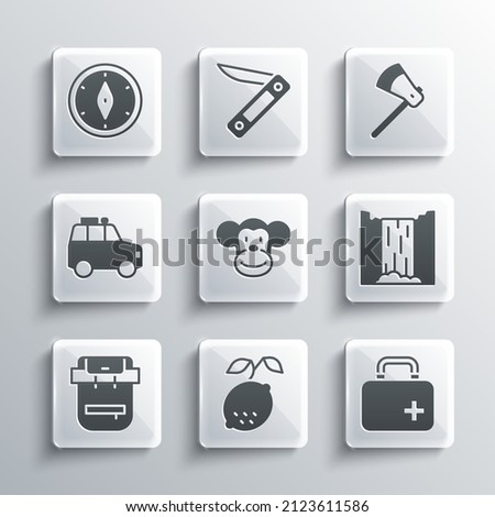 Set Lemon, First aid kit, Waterfall, Monkey, Hiking backpack, Car, Compass and Wooden axe icon. Vector