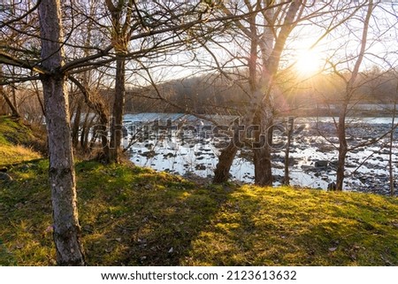 Beautiful evening sunset with a view of the river, forest and a green lawn with trees.