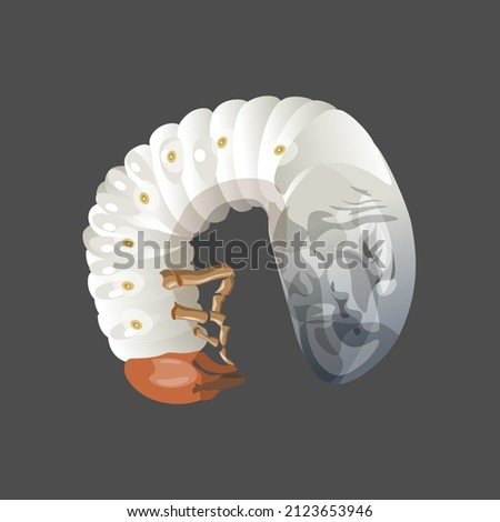 May beetle larva, chafer, cockchafer coiled up. Agricultural pests. Vector illustration isolated on dark background Royalty-Free Stock Photo #2123653946