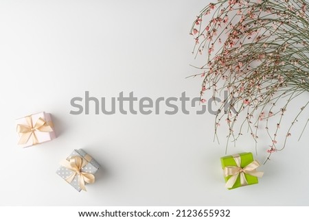 Flat lay, top view, white background, small gift boxes and a bush of dried flowers with pink cute flowers for March 8, spring mood