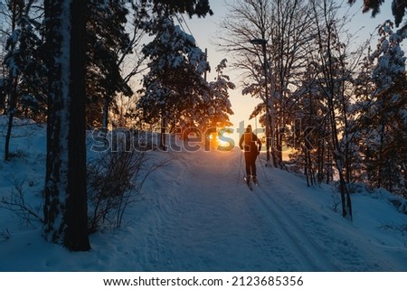 Silhouette of cross-country skier at sunset.