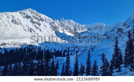 Winter view of the polish tatra mountain 
