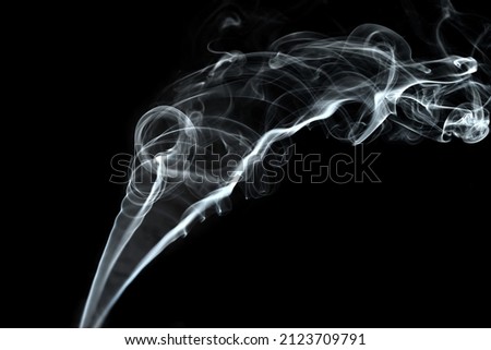 Twisted plumes of smoke, smoke movement on a black background. Abstract smoke lines 