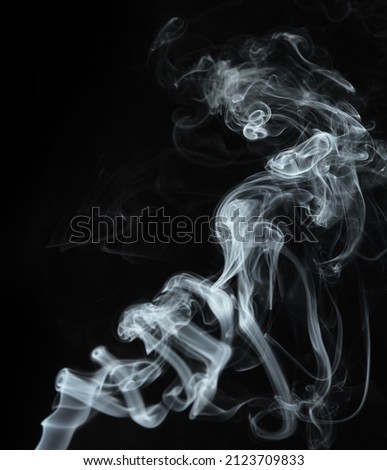 Twisted plumes of smoke, smoke movement on a black background. Abstract smoke lines 