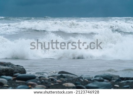 Storm waves of the sea from the shore , seagulls fly over the waves