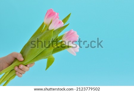 Happy Mothers day banner with children's hand holding a beautiful bouquet of tulips against pink background with copy space for greeting text. Moms or women's day template.