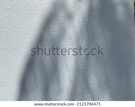 White wall with shadow of tropical leaves. template background for text, wallpaper