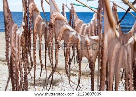 Octopus drying on a rope Denia Alicante Spain Royalty-Free Stock Photo #2123807009