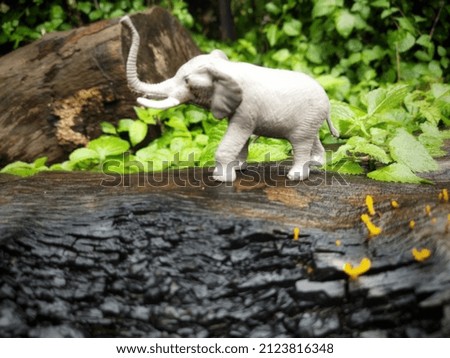 defocused picture of elephant in the forest
