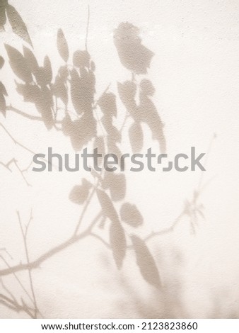 Shdow rose tree leaf and flower textured minimalism backdrop background for mock up