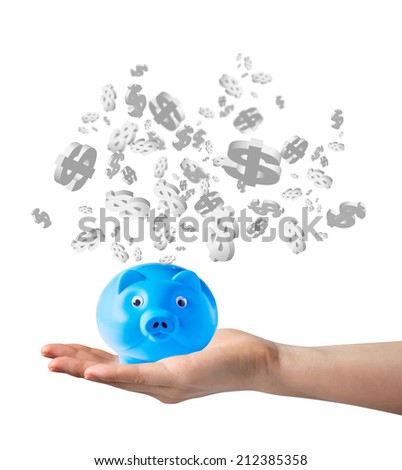 Woman hand holding piggy bank with dollar sign