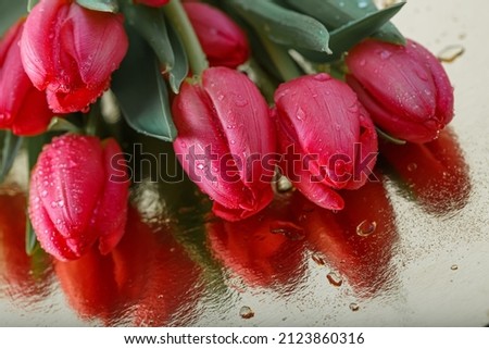 Top view of red tulips. Close-up image of flowers tulips on a reflective surface. Shallow depth of field. Card or poster. The artistic intend and the filters.