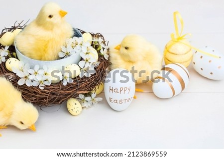 Golden, yellow, white eggs in a bird's nest, cherry blossom branches and cute yellow chickens on a white wooden background. Minimal concept. Easter card 2022 with a copy of the place for the text.