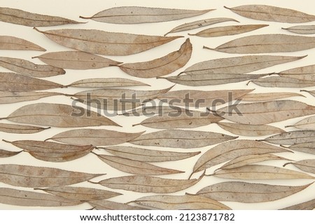 Brown dry willow leaves background. Pattern of falling leaves in winter time.
