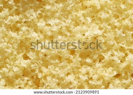 Texture of fluffy sponge cake, close up view 