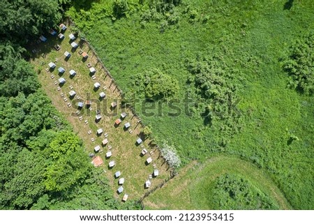 Aerial view of a small mobile apiary located on the edge of the forest. The territory of the apiary is fenced. Copy space.