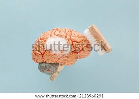 Minimal abstract scene with soapy human brain model and scrubbing brush on isolated pastel blue background. Mental health, brain fog or health care treatment. Cleansing or brainwashing concept. Royalty-Free Stock Photo #2123960291