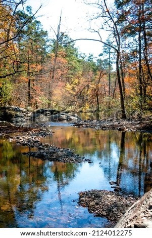 small stream or creek in the fall season with fall trees