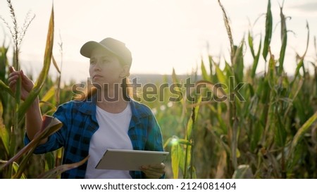 Farmer business woman in corn field, uses tablet computer. Woman farmer with digital tablet works in corn field. Agricultural business concept. Growing food. Harvest in field in autumn. Farmer field Royalty-Free Stock Photo #2124081404