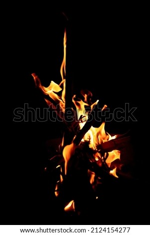 Beautiful formation of fire created by burning some dry reeds forming spectacular and bright flames in the dark of the night. Concept of beauty and destruction.