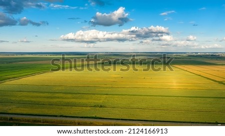 Scenic rows of agricultural fields on a summer farm in the evening. Aerial photography, top view drone shot. Agricultural area of Moscow region. Agrarian land in summertime. Beauty of earth Royalty-Free Stock Photo #2124166913