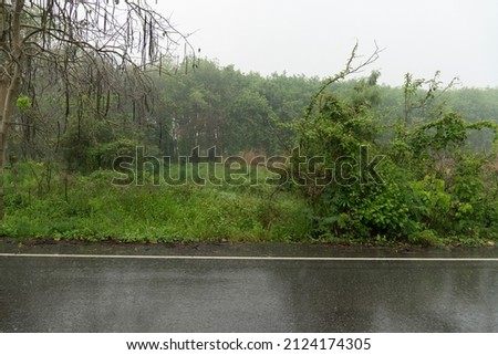 Horizontal view of wet asphalt road in Thailand. Environment of rainy time. and background trees and forest. Under the dark sky.