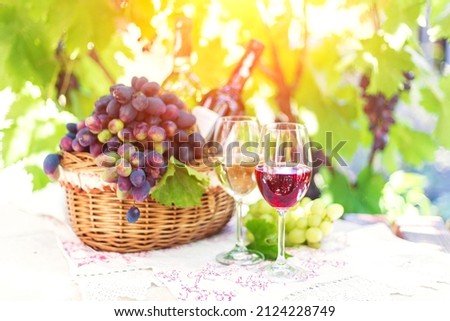 Red and white wine in glasses in the summer against a background of ripe juicy grapes.