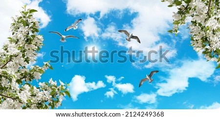 Picture for stretch ceiling decoration. Bottom-up view of flying birds and white spring flowers in the sky.