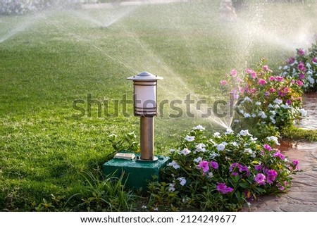 Plastic sprinkler irrigating flower bed on grass lawn with water in summer garden. Watering green vegetation duging dry season for maintaining it fresh. Royalty-Free Stock Photo #2124249677