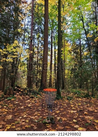Disc Golf Hole in Middle of Forest in Fall
