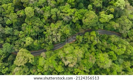 The road through the green forest, Aerial view car truck driving going through the forest, Aerial top view forest, Texture of forest view from above, Ecosystem and healthy environment concept  Royalty-Free Stock Photo #2124356513