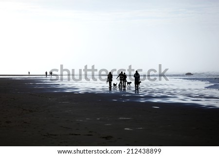 Group of friends walking along the ocean coast