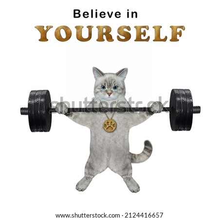 An ashen cat athlete is lifting a heavy barbell. Believe in yourself. White background. Isolated.