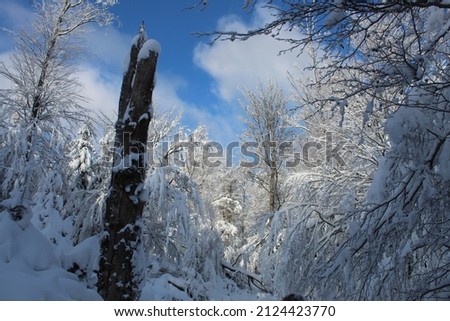 A parenthesis around a white snow Royalty-Free Stock Photo #2124423770