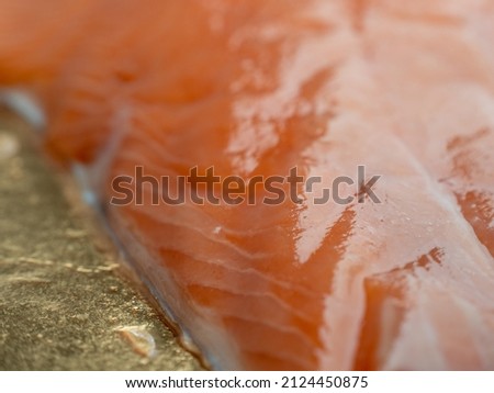 fillet of fresh salmon. fillet of red fish.