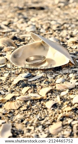 Beautiful wedding ring in empty seashell on shore