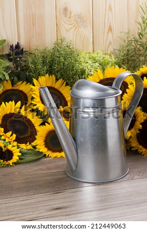 Watering can and sunflowers