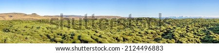 Panorama of a moss covered volcanic lava field of Eldhraun, southern Iceland. The volcanic rock is completely covered in soft mossy cushions. Eldhraun is the largest lava flow in the world. Royalty-Free Stock Photo #2124496883