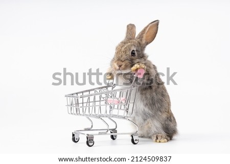 cute rabbit pushing empty shopping trolley cart and looking some food, isolated on white background  Royalty-Free Stock Photo #2124509837