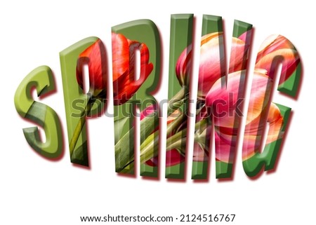 Decorated with tulip flowers the inscription "SPRING" on a white background