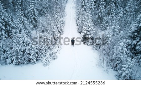 Young man walking in the forest on a cold winter day Royalty-Free Stock Photo #2124555236