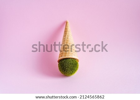 Waffle cone with a ball of lawn. Unusual ice cream on a pink background. A sphere of lawn. Top view. High quality photo
