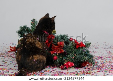 Curious cat standing near New Year Tree lying on the floor with colorful confetti against white background. 
