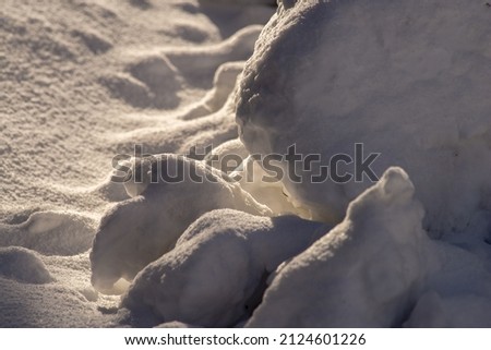Details in winter snow dry grass