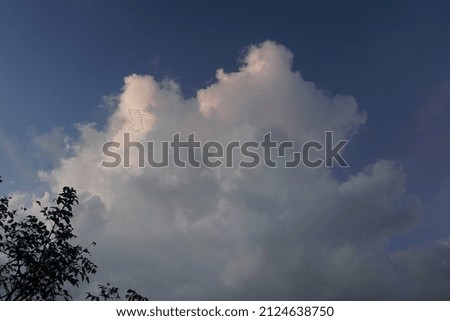 blue sky and thick white clouds accompanied by dark leaves