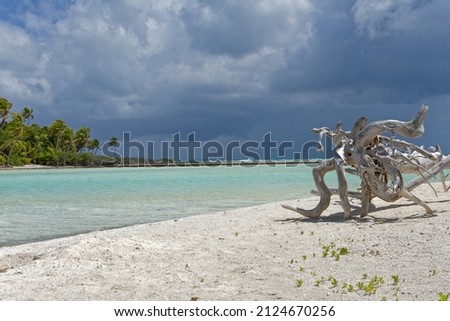Rangiroa - tuamotu - french polynesia - blue lagoon and white sand 
