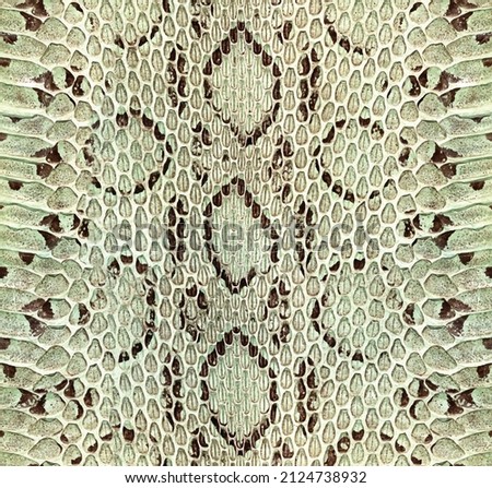Snake skin pattern, animal leather seamless design